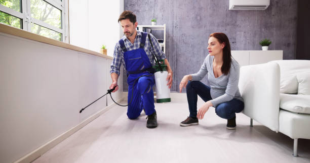 Indoor Pest Control in Bayonet Point, FL